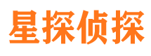 汉阳市调查公司